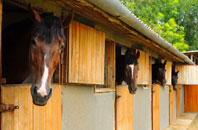 free Selborne stable construction quotes